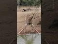 Stand to attention
