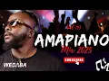 Lagu AMAPIANO MIX 2025 VOL193 | DJ WEBABA