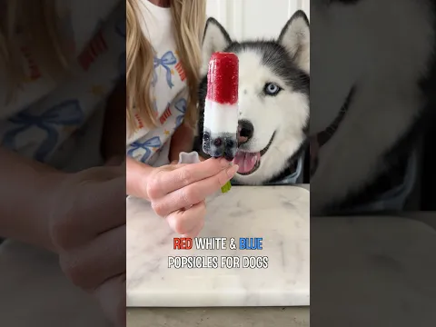 The Perfect 4th of July Treat for Dogs!