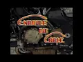 Download Lagu Oggy et les Cafards - Enroulé du câble (S02E59) Cartes de crédit
