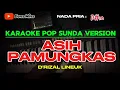 Download Lagu ASIH PAMUNGKAS ~ D'RIZAL LINEUK || KARAOKE POP SUNDA VERSION - NADA PRIA