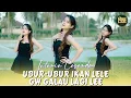 Download Lagu Intania Casanda - Ubur-Ubur Ikan Lele Gw Galau Lagi Lee (DJ Remix)