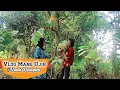 Download Lagu Mencari Buah Nangka Langka | Vlog Bahasa Sunda #vlog