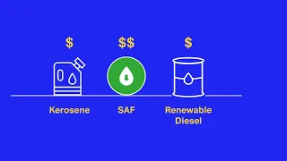 Sustainable Aviation Fuel Animation
