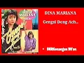 Dina Mariana - Album \