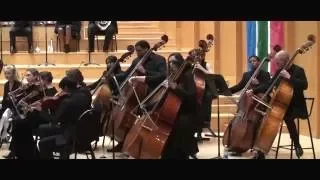 mahler symphony no 5 5 strusinska sa national youth orchestra