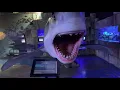 The Austin Aquarium