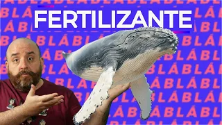 como BALEIAS FERTILIZAM os oceanos | LIVE DE TERÇA