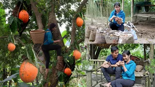 Building From Fence To Garden Harvesting And Selling Produce Ly Thanh Thuy S New Life 