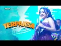 Download Lagu TERPAKSA - Sabila Permata Adella | OM ADELLA LIVE KEDUNG KANDANG MALANG