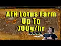 BEST WAY TO FARM GOLD AFK Up to Classic WoW Lotus Farming