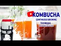Kombucha Continuous Brew Why Susanna Kay and her daughter get a daily dose of Kombucha