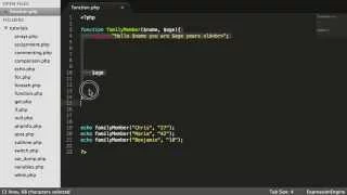 PHP Basics Lesson 19 functions