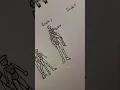 How to draw couple poses