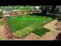 FREE HOME DEPOT LOWES SOD Lawn Renovation by hand Turf Type Tall