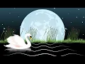 The Carnival of the Animals: XIII. The Swan – Animated Music Video | Sharlene Hsu