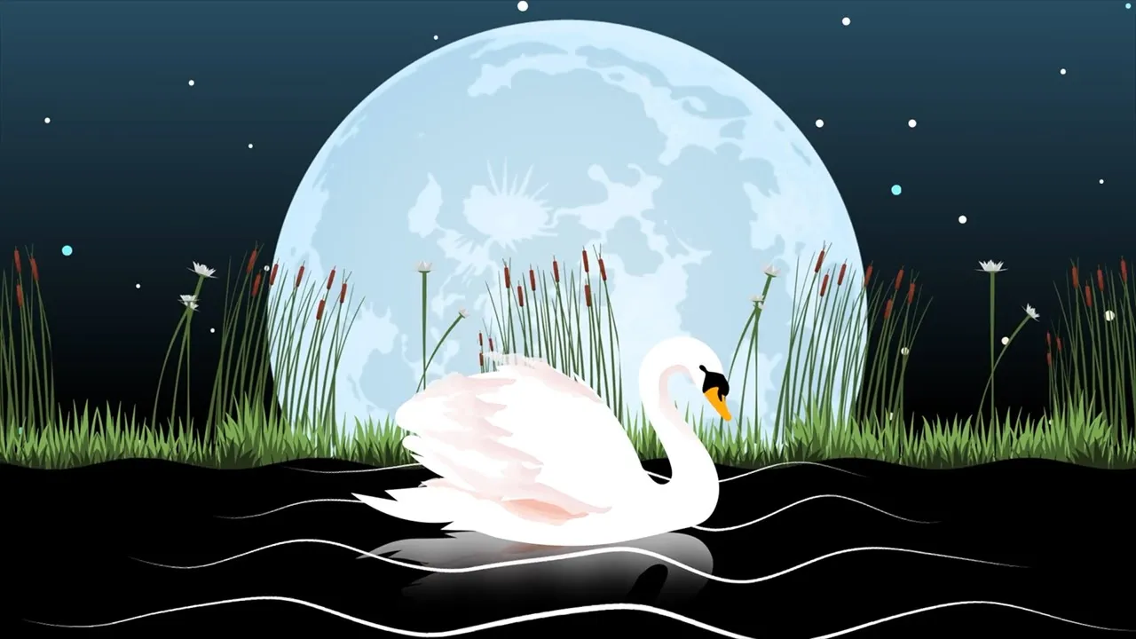 The Carnival of the Animals: XIII. The Swan - Animation Music Video | Sharlene Hsu The Carnival of the Animals: XIII. The Swan - Animation Music Video | Sharlene Hsu