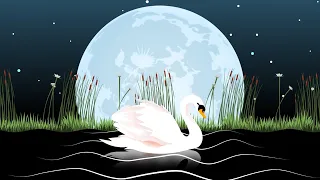 The Carnival Of The Animals XIII The Swan Animated Music Video Sharlene Hsu 