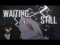 Waiting Still || Animatic