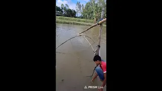 Live streaming of Village Fun13