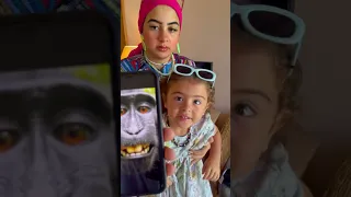 مين اكتر حد تعرفوا الهزار بتاعوا رخم 