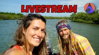 🔴 YANMAR 2GM Rebuild LIVE STREAM  Update from New Smyrna Beach