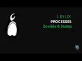 Linux Docker Real World Scenarios AI Solves 4 SysAdmin Problems DeepShell