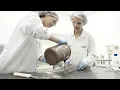 The Future of Chocolate Food Engineering at Cargill