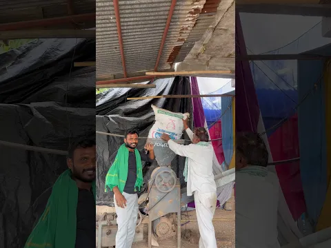 పల్లికాయ నుంచి గింజ….???