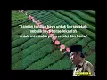 Download Lagu Kehebatan Al Quran diantara kitab kitab lain   Ceramah Lucu KH Zainudin MZ terbaru  Full