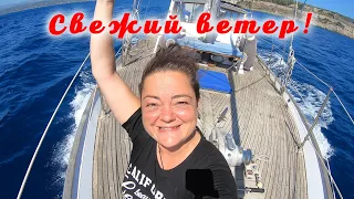 Кто быстрее: JEANNEAU или CHEOYLEE?