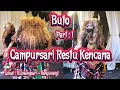 Lagu Campursari Restu Kencana Di BLimbingsari || Buto || Part : 1