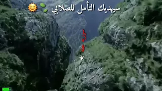 تأمل قدرة الرحمن وانظر 