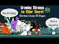 Battle Cats Growing Strange An Elder Secret - One Lineup No Ubers How to get Elder Catfruits
