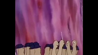 الانقسام المنصف 