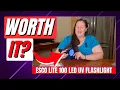 ESCO LITE UV Flashlight Review - Pet Stains House Hunting
