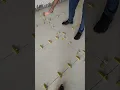 3mm tiles clip tiles fitting tiles