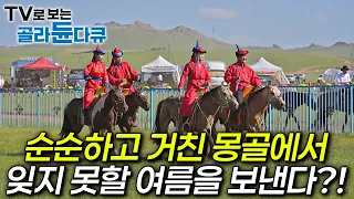 순순하고 거친 몽골에서 잊지 못할 여름을 보낸다?!ㅣ와일드 몽골, 여름 탐험기ㅣ세계테마기행ㅣTV로 보는 #골라듄다큐