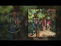 Creedence Clearwater Revival Bad Moon Rising 432hz