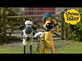 Lagu ☀️🐑 Shaun the Sheep Outdoor Adventures! – Kids Animation | Best Moments Compilation [1 Hour]