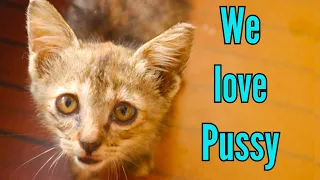 LOVE AFFAIR on private tropical Island – Sailing Asia