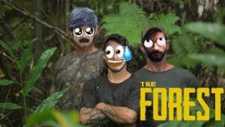 the forest the yard india jungle me mangal 