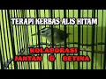 Download Lagu MASTERAN KERAK BASI ALIS HITAM | TERAPI KERAK BASI ALIS HITAM