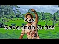 Kes - Savannah Grass (lyrics)