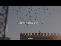 Download Lagu Ya habiba ya falasteen - Lirik - Maher zain