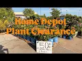 Plant clearance at Home Depot July 2026