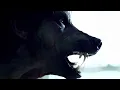 Download Lagu Werecurse Outbreak Original Uncut Werewolf Transformation Short Film!