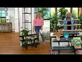 Barbara King 3-Tiered Collapsible 34 Long Plant Stand on QVC