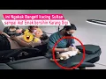 Download Lagu Lucunya kebangetan! bisa bisanya kucing Bersihin Karang gigi pergi ke salon/kompilasi kucing Lucu