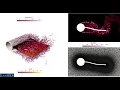YALES2 Fluid-Structure Interaction - 3D turbulent case Kalmbach Breuer FSI-PfS-2a